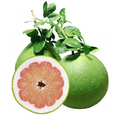 Pomelo